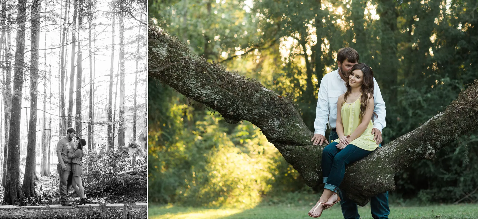 jungle garden engagements 07