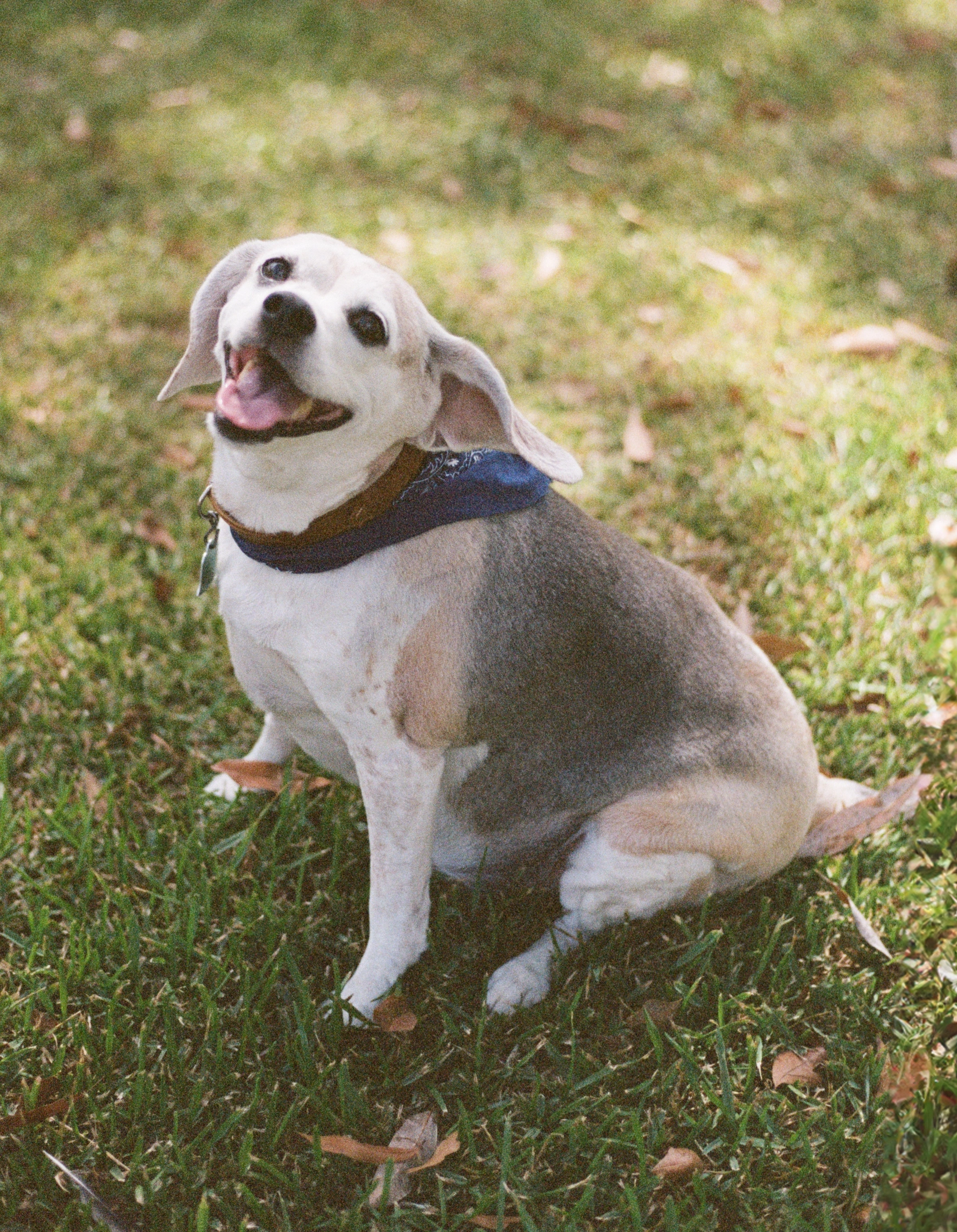 SoCo on film with bandana 1