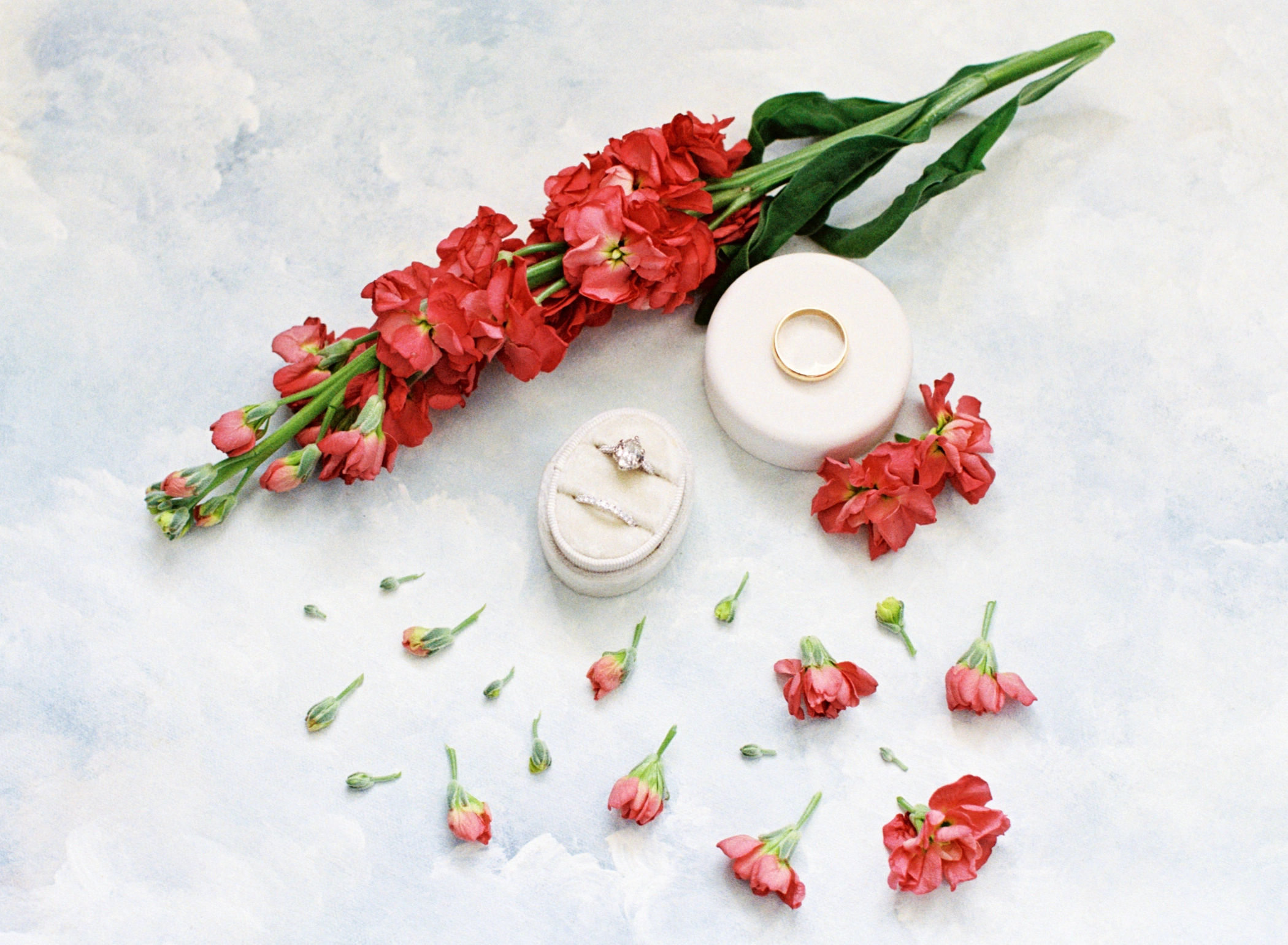 Flat lay of Paulina's Ramsey's engagement ring and Michael's wedding band in round boxes with red stock blooms on a painted blue sky backdrop