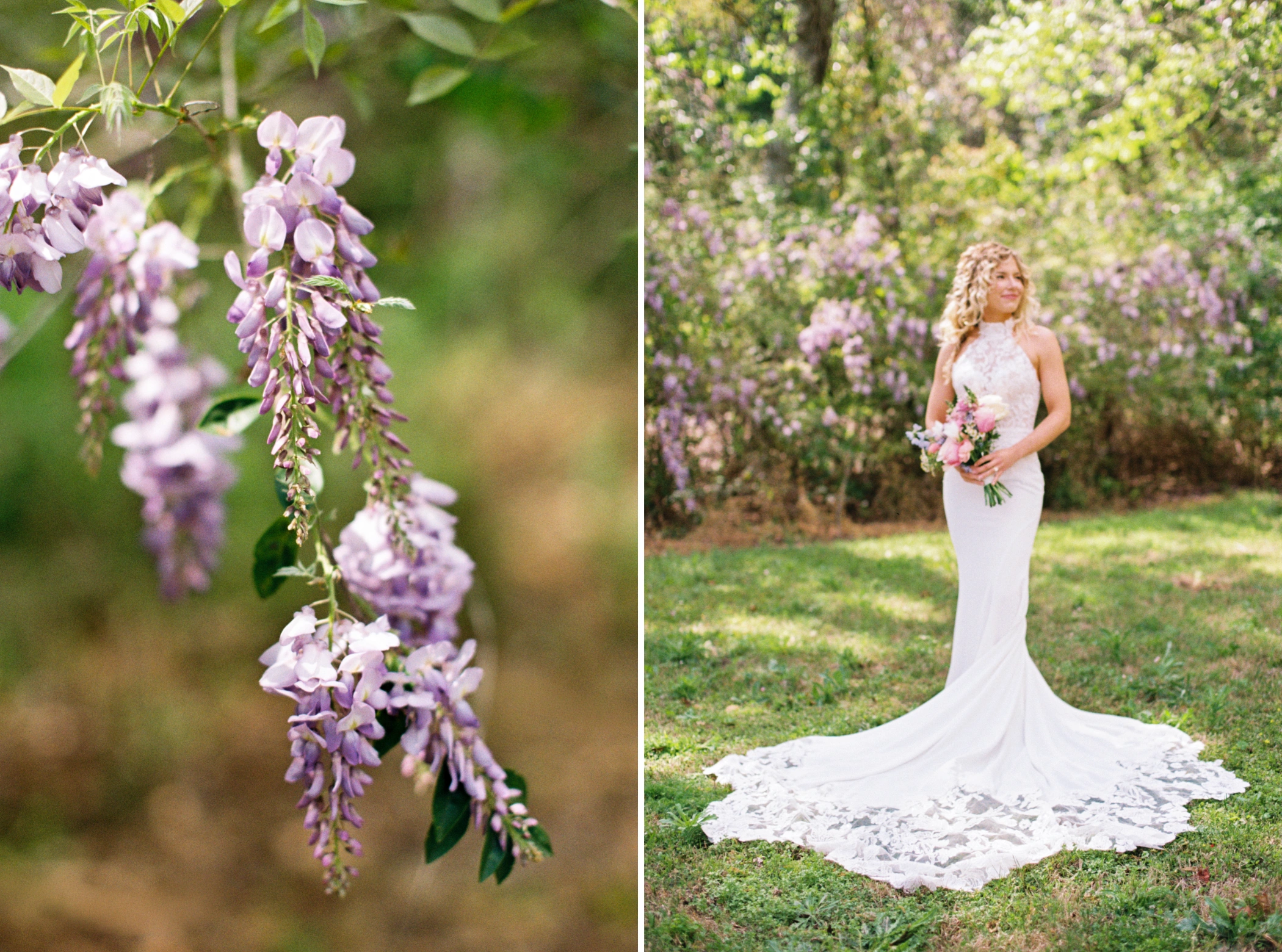Clusters of blooming wisteria, and Taylor's full-length bridal portrait with her pastel bouquet in front of the blooms