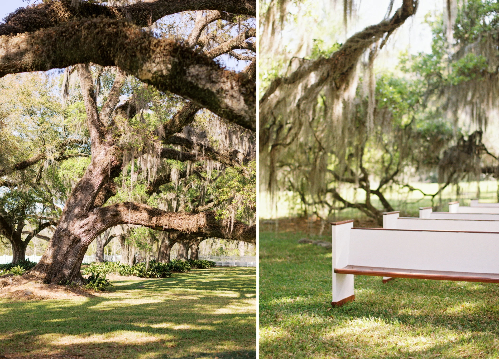 Sprawling live oaks draped in Spanish moss, and white church pews set up for the ceremony at Keystone Oaks Estate