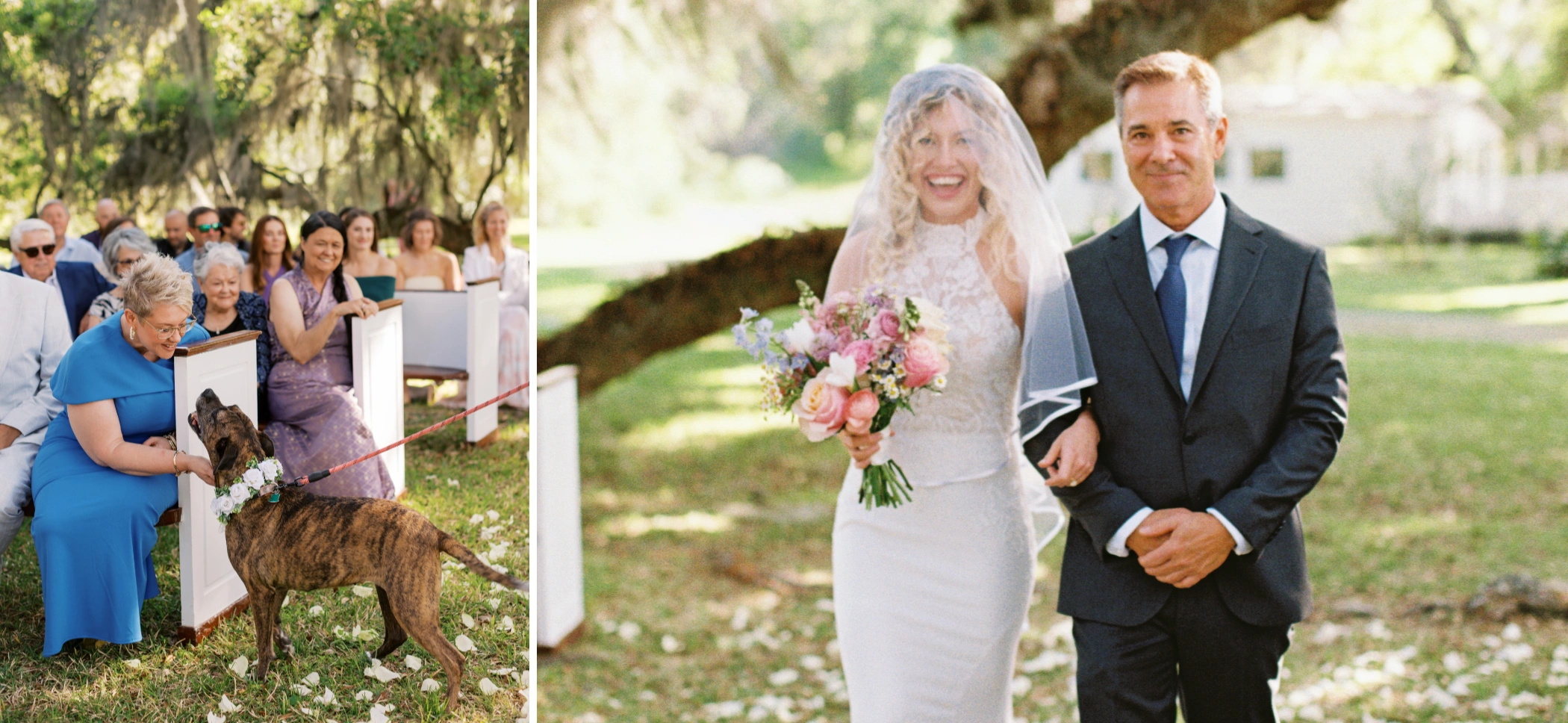 Guests petting the wedding dog by the pews, and Taylor laughing arm in arm with her dad before walking the aisle