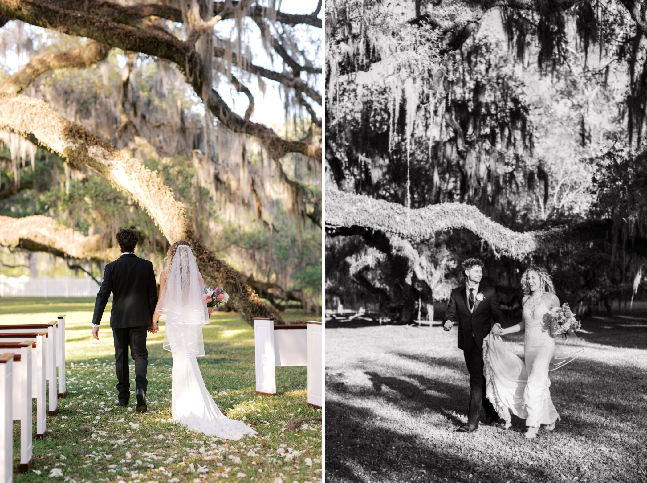 Taylor and Zane walking hand in hand down the aisle under the oaks, and a black and white portrait beneath the moss canopy